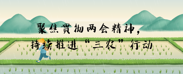 聚焦贯彻两会精神，持续推进“三农”行动