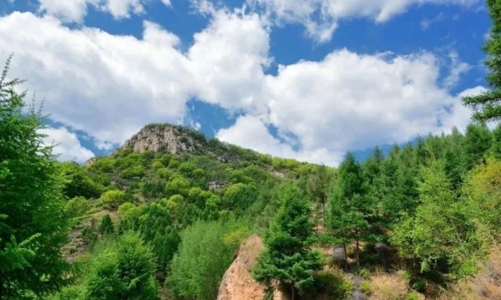 从碳汇交易到生态旅游：苍穹数码探索生态修复规划实施新路径