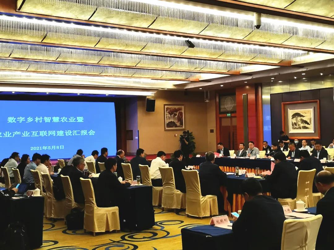 赋能数字乡村，苍穹数码董事长徐文中受邀出席安徽省数字乡村智慧农业暨农业产业互联网建设汇报会并作点评